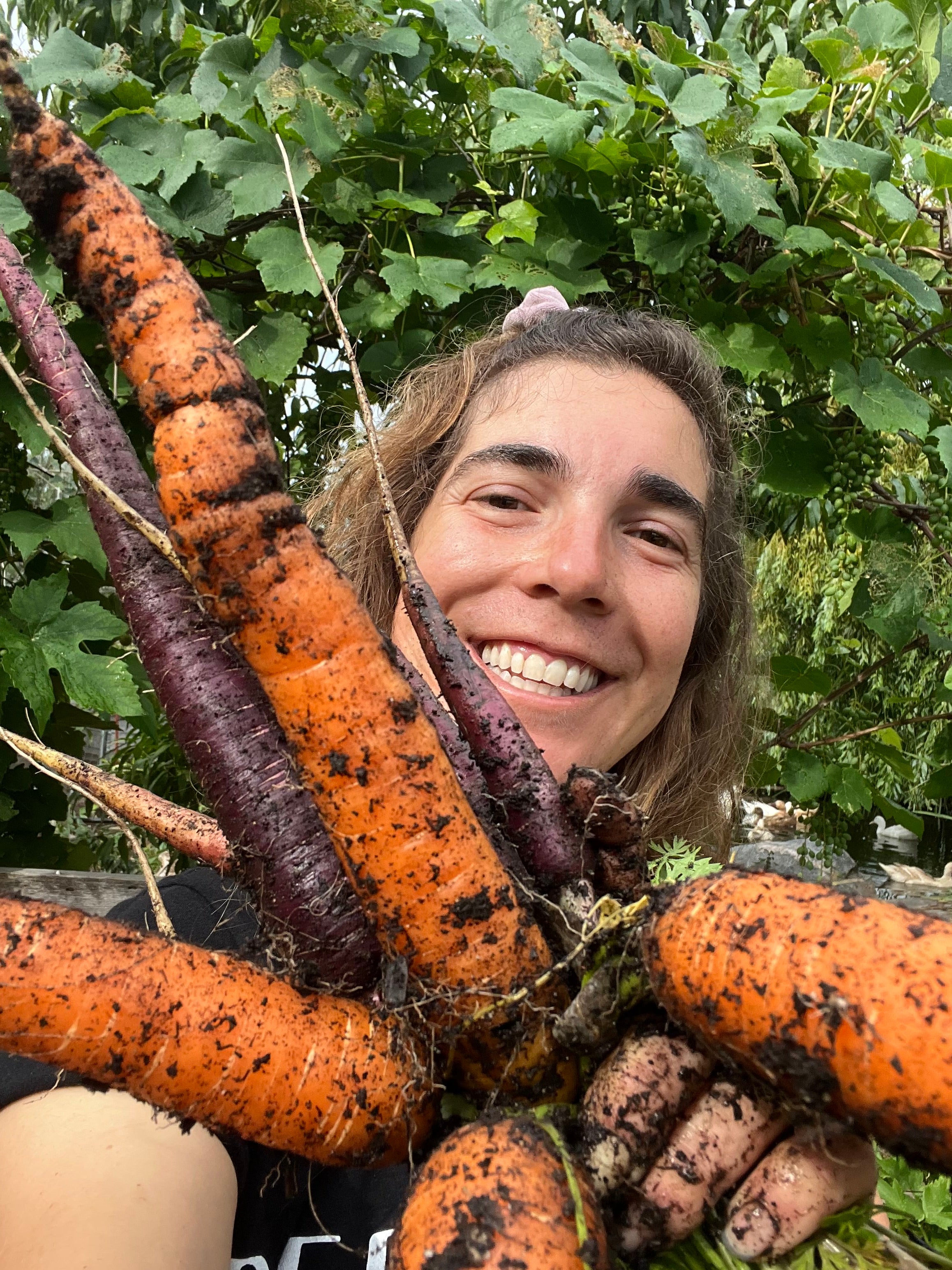Briana takes a selfie and smiles at the camera. She is holding a bunch of large carrots, freshly pulled from the dirt.
